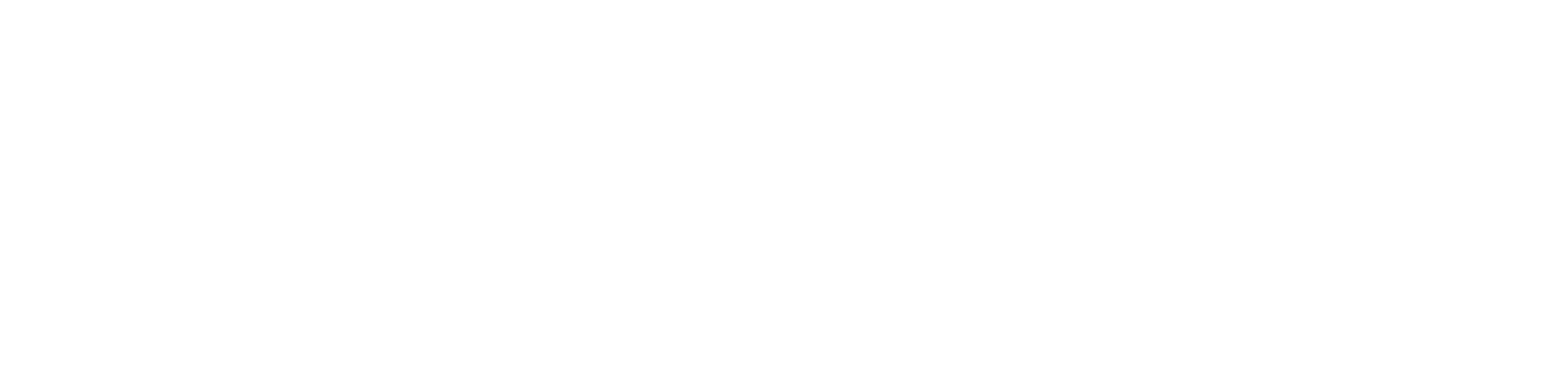 Danish Energy Export